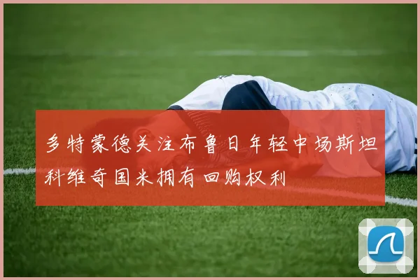多特蒙德关注布鲁日年轻中场斯坦科维奇国米拥有回购权利