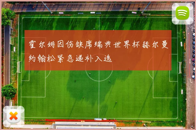 霍尔姆因伤缺席瑞典世界杯赫尔曼约翰松紧急递补入选